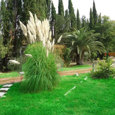 Errika House 2