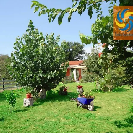 Errika House 2
